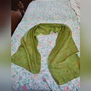 Echo Vibrant Green Sheer Scarf